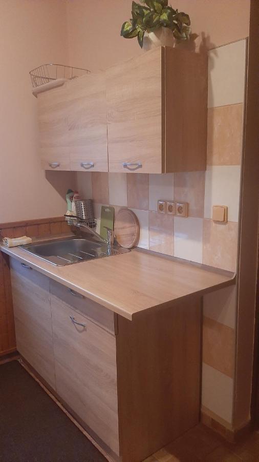Guest House Vila Frýdštejn Εξωτερικό φωτογραφία